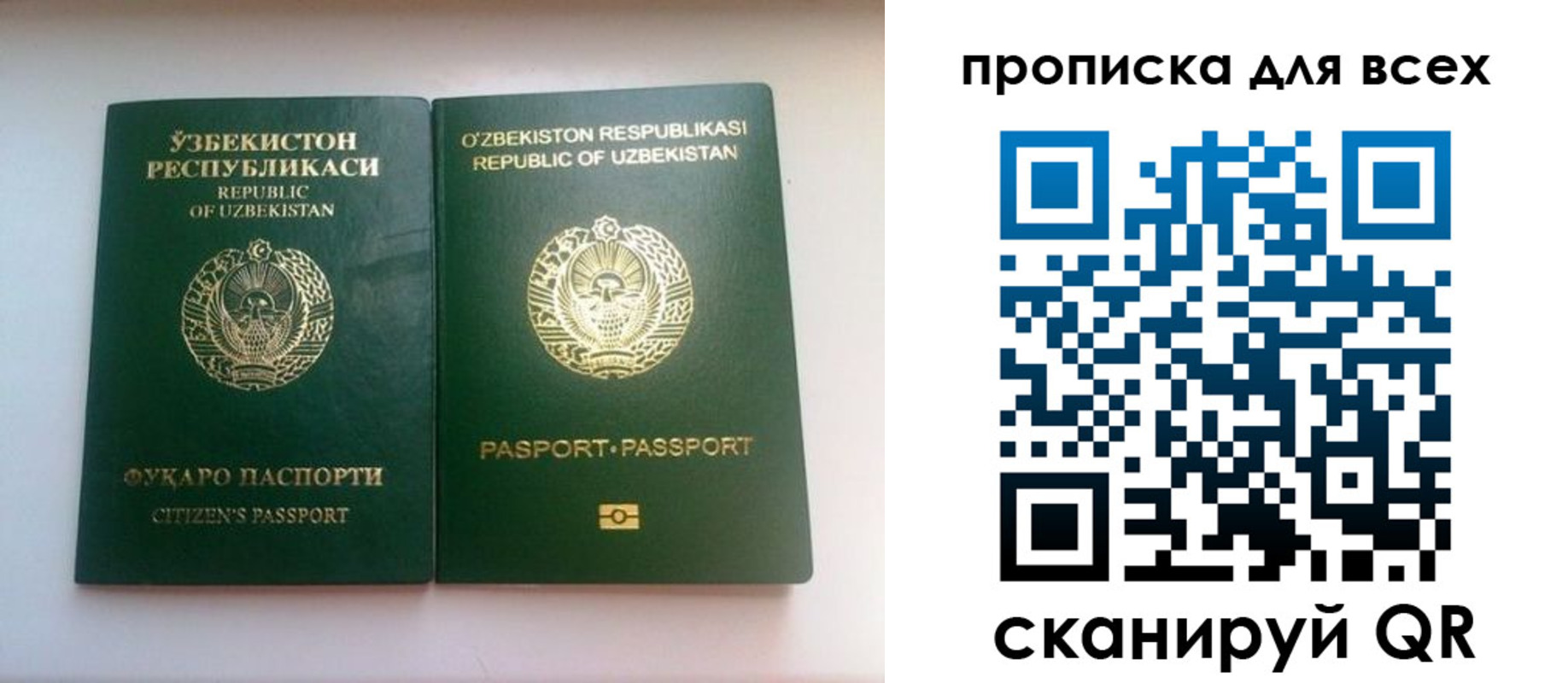 прописка для школы в Лесосибирске